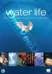 Water Life | Mundos de Agua  |   DVD
